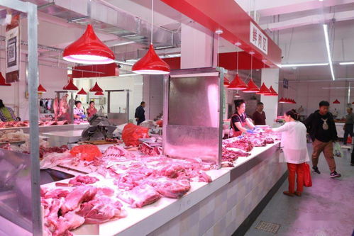 白城市節(jié)日市場生活必需品供應充足平穩(wěn) 食用農(nóng)產(chǎn)品批發(fā)市場運行良好