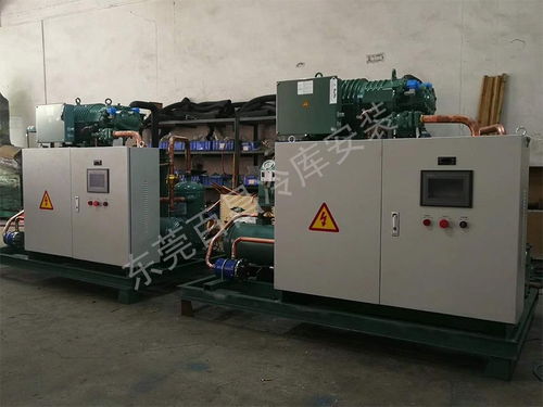 珠海鱸魚加工廠冷庫安裝 構建高品質、高安全性的食品儲存解決方案